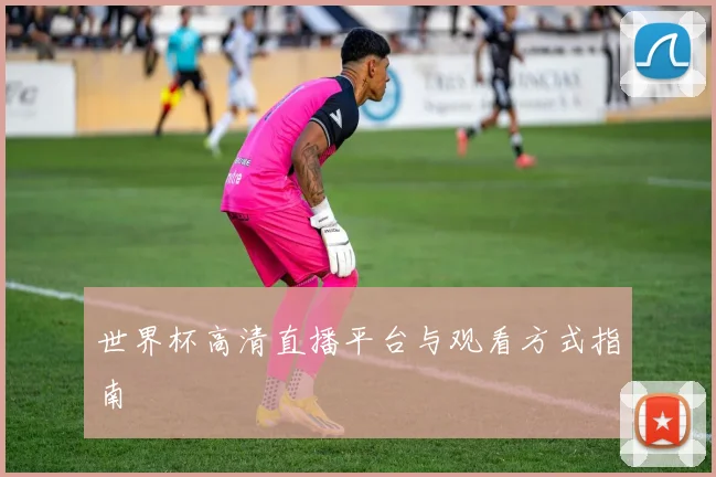 世界杯高清直播平台与观看方式指南